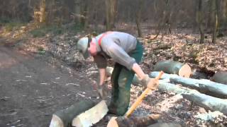 Bauernhaus Wustweiler Brennholz Meterstücke spalten mit Spalthammer [upl. by Alison798]