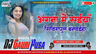 Angana Me Saiya Swimming Pool Banwaya Dj Remix New Instagram Viral Song Mix By DjGauri Saidpur [upl. by Yar]