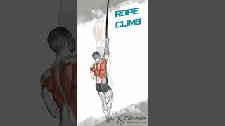 Rope Climb [upl. by Ardnauq]