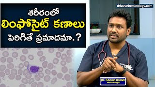 Reasons For High Lymphocyte Count  Lymphocytosis  Dr Karuna Kumar  Hematologist [upl. by Romie788]