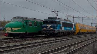 Dm90 en hondekop in Blerick [upl. by Rebeka]