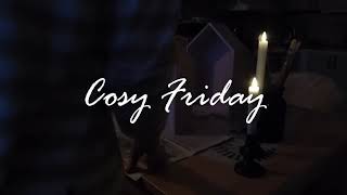 A Cosy Friday DIY  Maileg Display [upl. by Nnovahs292]