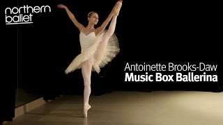 Music Box Ballerina  Antoinette BrooksDaw [upl. by Akimas]