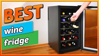 ✅ Best Wine Fridge Personal and Commercial Use [upl. by Melloney609]