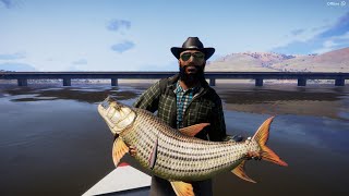 Legendary Tigerfish Mamlambo [upl. by Nora]