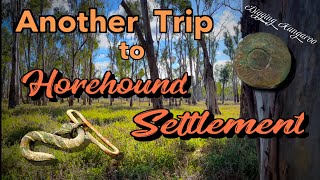 Metal detecting Australia equinox 800 [upl. by Bunder30]