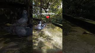 শায়েখের মা কেমন ছিলেন আব্দুর রাজ্জাক বিন ইউসুফ abdurrazzak banglaislamicvideo binyousuf waz [upl. by Airuam88]