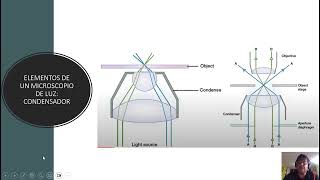 Introducción a la microscopía óptica [upl. by Auqenahc457]