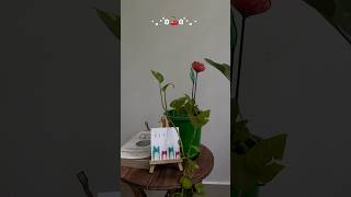 desk decor or plant decor  diy craft shorts ytshorts [upl. by Nichols]