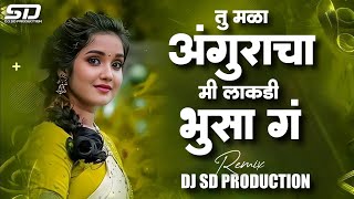 Tu Mala Anguracha  तु मळा अंगुराचा  Tu Mala Angrakha Ki Lakdi Bhusa G  Instagram Trending  dj [upl. by Warthman]