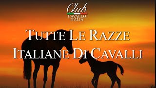 Tutte le razze italiane di cavalli [upl. by Pasquale152]