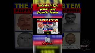 Unraveling the Secrets of Prison Gang Control The MESA System [upl. by Eniamurt]