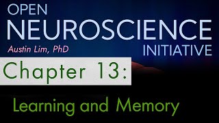 quotLearning and Memoryquot Chapter 13  Open Neuroscience Initiative free textbook narration [upl. by Mohun]