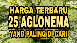 AGLONEMA  25 AGLONEMA TERBARU [upl. by Ehrman]