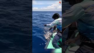 Catching 97kg Yellowfin Tuna Using Live Rosy Snapper Fish [upl. by Berfield]