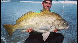 Surf and Jetty Fishing for Black Drum in NJ [upl. by Korwun294]