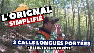 Chasse Orignal 2020  2 appels de longues portées Call Maheu plaintive  Orignal simplifié [upl. by Marven689]