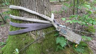 Removing a Fallen Oak Branch Using a Winch [upl. by Kleeman519]