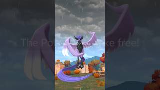 ❄Wild Articuno❄ pokemongo articuno galarianarticuno galarianbirds pokémon shinypokemon [upl. by Naleag]