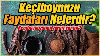 Keçiboynuzunun Faydaları Nelerdir Nasıl Tüketilir Keçiboynuzunun Zararları Nelerdir [upl. by Tawnya]