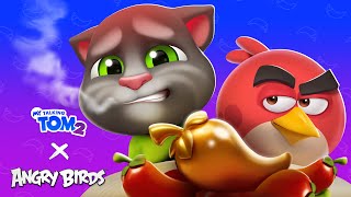 Can Tom Handle the Heat 🌶️🔥 AngryBirds X My Talking Tom 2 [upl. by Bohaty]