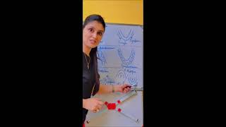 The RIDGE explain Anticline Syncline antiform Synform and Anticlinorium Synclinorium [upl. by Baylor548]