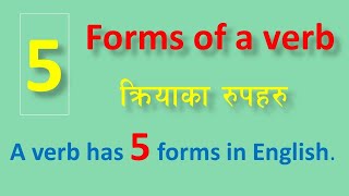 Forms of a verb  Verbs form  Verb Forms in English [upl. by Sussi]