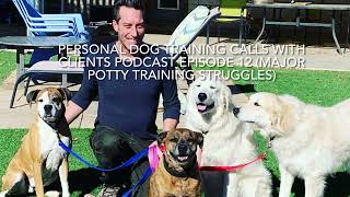 Calls with Clients Podcast Episode 12 Major Potty Training Struggles pdtlearningseriescom [upl. by Haras]