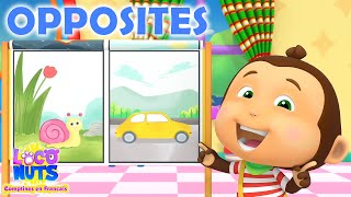 Opposée Chanson Apprentissage Vidéos et Comptines pour Enfants [upl. by Cassius680]