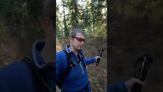 Where to find larches in WA pnw seattle hike explore outdoors [upl. by Airtal]