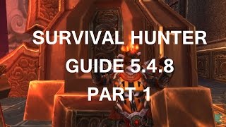 World of Wacraft MoP Survival Hunter Guide 548  Part 1 [upl. by Yttik]