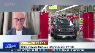 Ex WTO DG on ChinaEU trade quotIts not a trade war  there are trade frictionsquot [upl. by Onairpic]