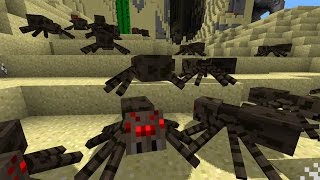 10 Fakten über die Minecraft Spinne Einsteigerfreundlich [upl. by Nalyt]