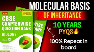 CBSE Class 12 Molecular Basis of Inheritance PYQs 202425  Most Important Questions amp Solutions [upl. by Anawed666]