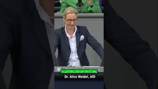 FREIHEIT Alice Weidel begeistert den Bundestag [upl. by Leahcir]