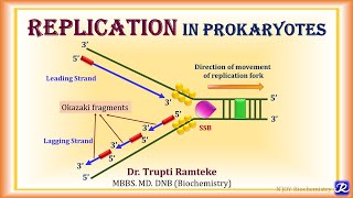 4 Replication in Prokaryotes  Molecular Biology Biochemistry  NJOY Biochemistry [upl. by Donica965]