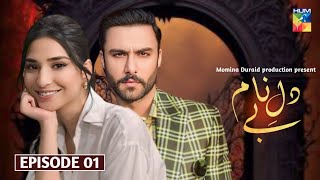 Byname Dil  Episode 1  Ramsha Khan  Ahmad Ali Akbar  Pakistani drama  Update  Hum tv  Zynu5 [upl. by Cordova343]