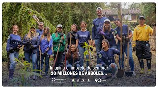 AquíHayGrupoArgos  Sostenibilidad conservación y restauración de los ecosistemas [upl. by Alicirp]