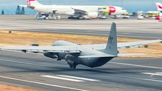 LIVE ACTION A330 amp Pink Condor at Madeira Island Airport 03102024 [upl. by Daenis]