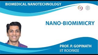 NanoBiomimicry [upl. by Wolfe]