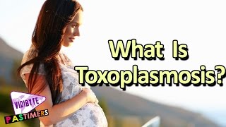 What Is Toxoplasmosis Symptoms and Causes  Health Tips [upl. by Eneleuqcaj]