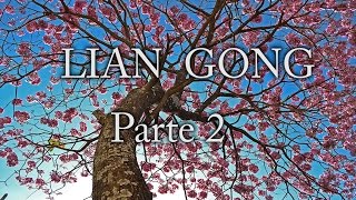 LIAN GONG PARTE 2 [upl. by Ynnattirb]