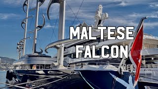 Sailing Yacht MALTESE FALCON 4KHD archiesvlogmc [upl. by Anaet558]