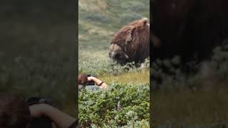 En busca del Buey almizclero 💚📷💚 In search of the musk ox 🧡📷 Wildlife Photography in Norway [upl. by Letnuhs865]