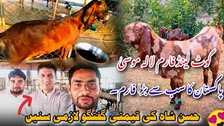 Goat Land farm lala Musa  international lavel and biggest farm of Pakistan most famous goat farm [upl. by Eimia988]