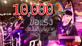 ขอแรง  อนันต์ บุนนาค Cover by Harem [upl. by Notsniw]