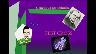 07TEST CROSS génétique des diploïdes Bac Tunisie [upl. by Winifield348]