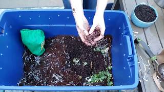 Vermicomposting 101 How to Create amp Maintain a Simple Worm Bin [upl. by Aliuqat]