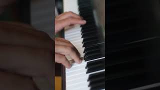 Chopins Prélude in E Minor Op 28 No 4 [upl. by Irrahs]