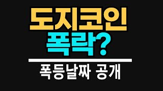 도지코인의 폭등은 이날짜에 나옵니다 [upl. by Nahej]